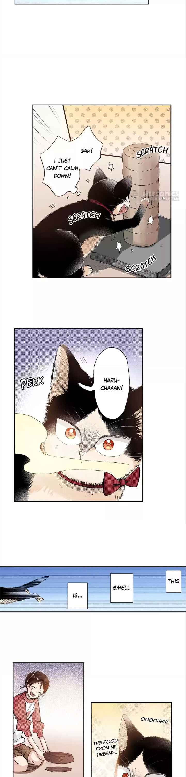 My Roommate Is A Cat Chapter 43 8